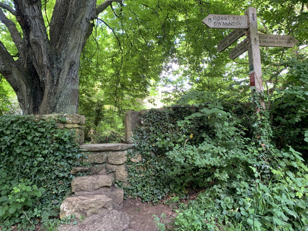 Go past a stone stile on your right and follow signs to 'Coast path ' and 'Swannery'