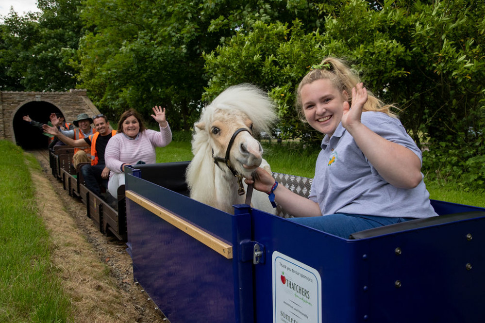 Cookie the Miniature Pony on the Bath & West Train