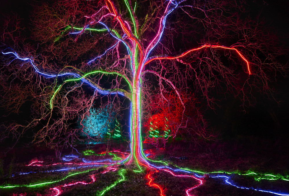 Neon Tree by Culture Creative, My Christmas Trails 2020. Photo by Richard Haughton © Sony Music