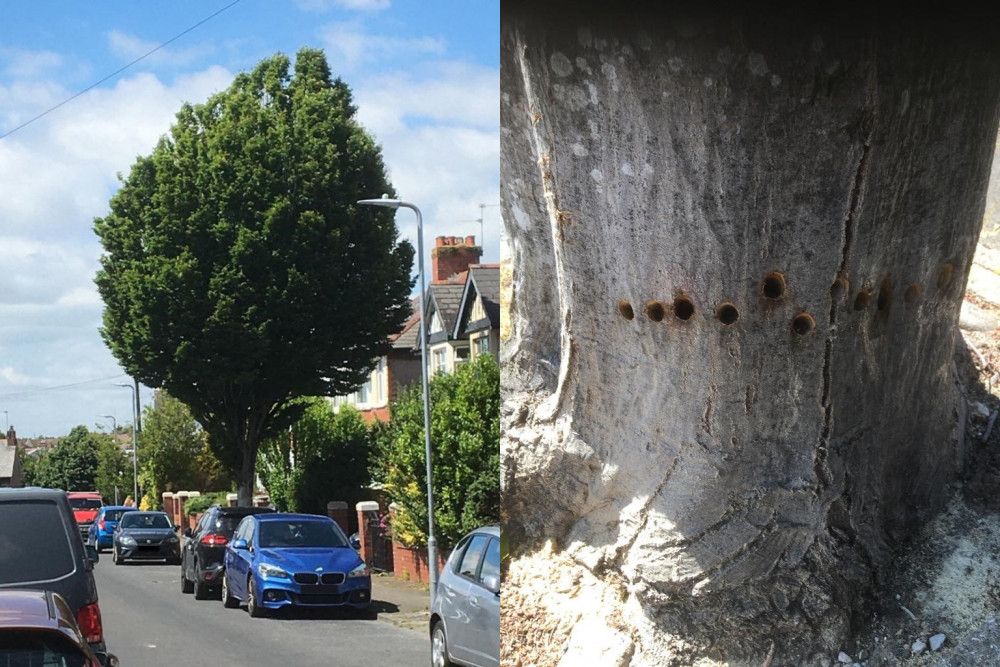 Penarth Civic Society alerted the council to the damage on May 29. (Image credit: Vale of Glamorgan Council)