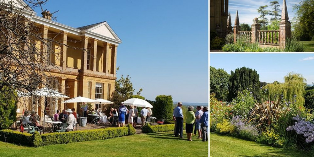 Glorious Open Gardens 2022 – Hurds Hill, Westover, Langport Glorious Open Gardens 2022 – Hurds Hill, Westover, Langport