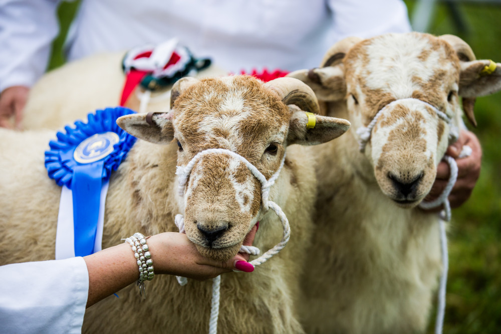 The show usually attracts an estimated 20,000 people. (Image credit: Sarah Fenner)