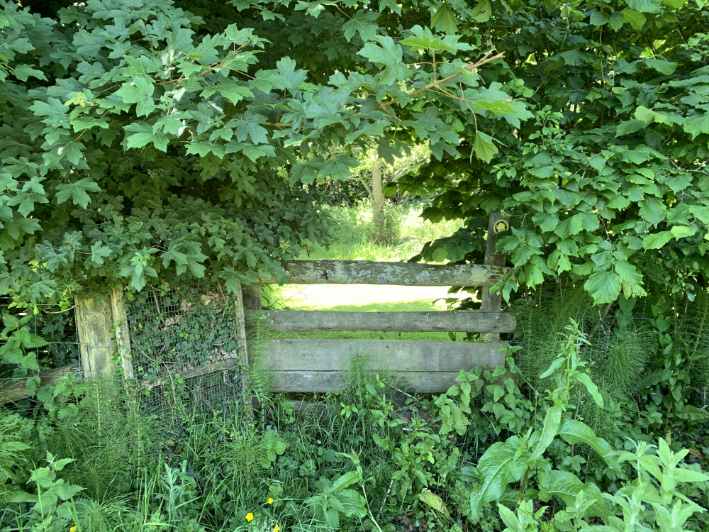 Go over the stile