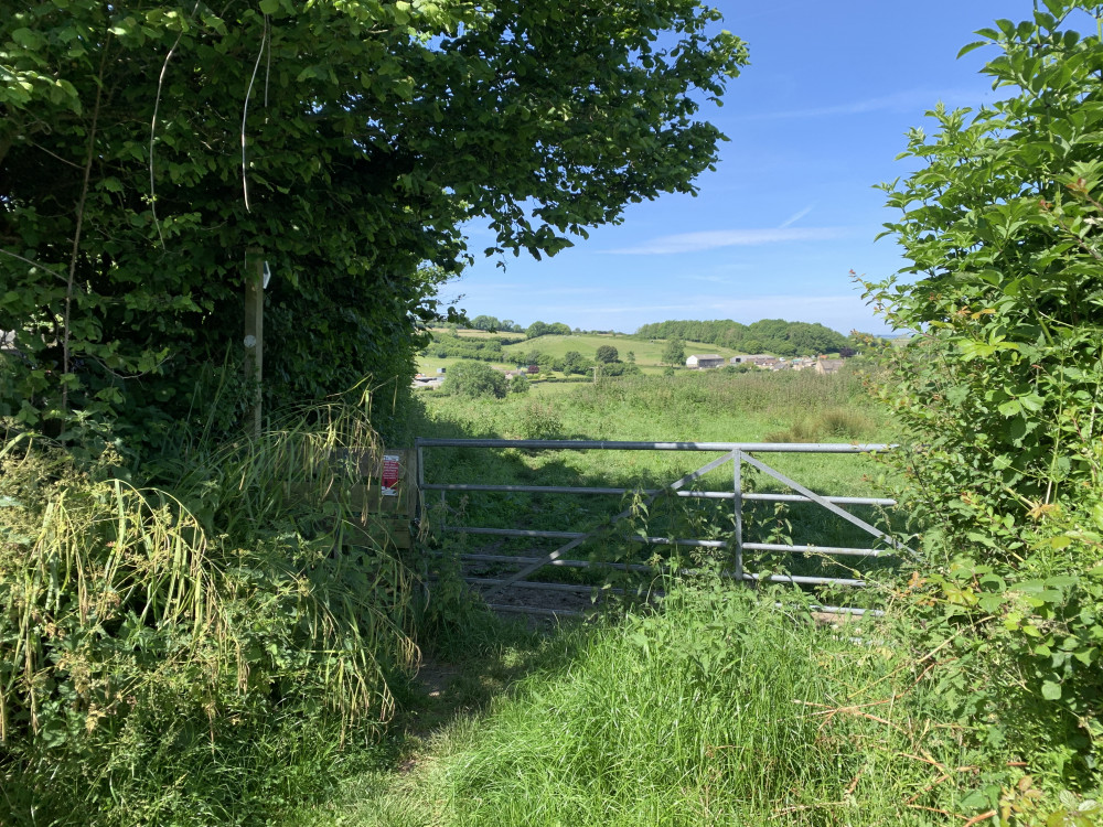 Go over the stile and through the field