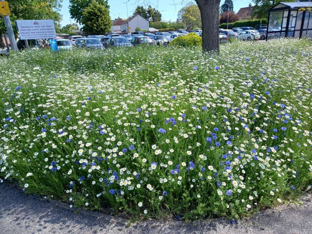 Free parking to be reduced in Hadleigh car parks