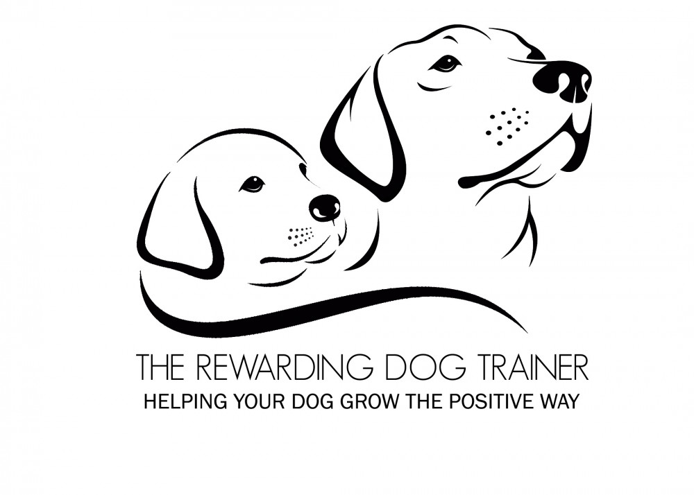 Whether your at the beginning of your training journey, or your dog needs help with other issues such as reactive social behaviour, I am here to help 