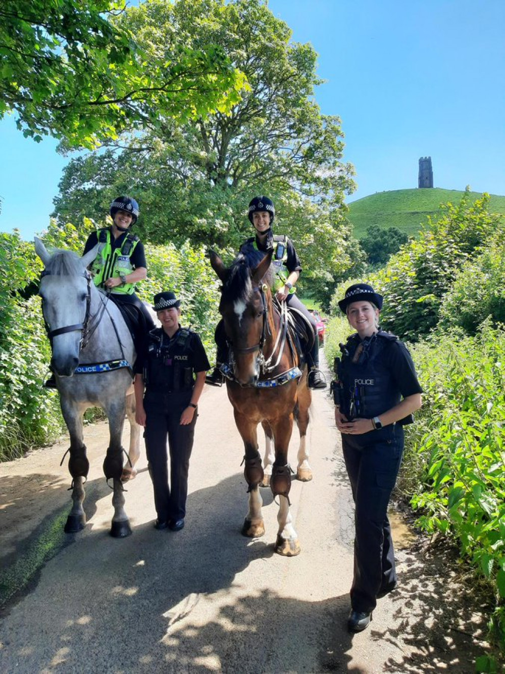 The Police issued this photo: Police horses Platinum & Trinity are on patrol ahead of the festival this week