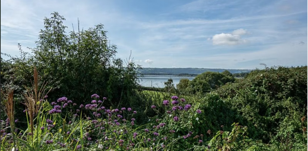 Community Farmer Day - Midsummer Abundance