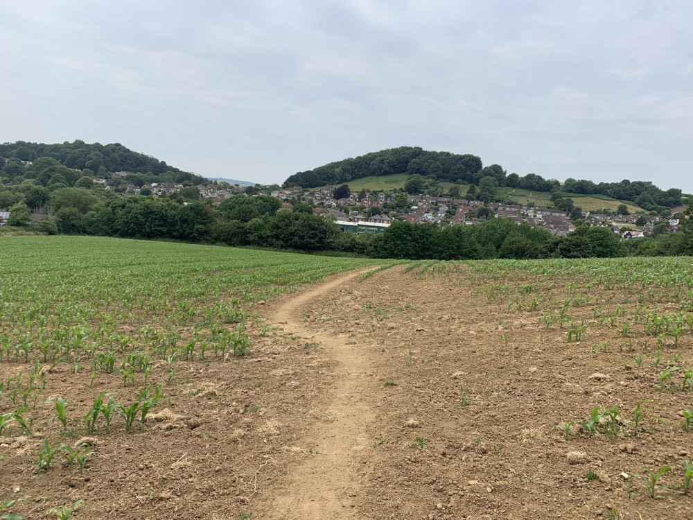 Follow the path through the field