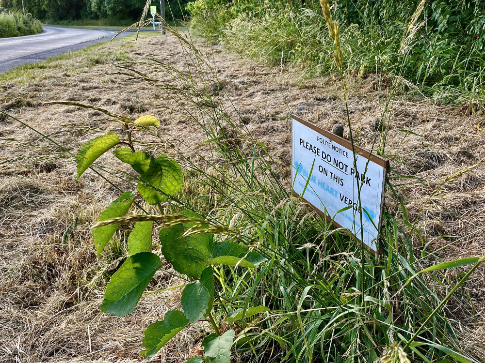 The wildflower area was mown by the County Council despite the warning signs. Photos: Ashby Nub News