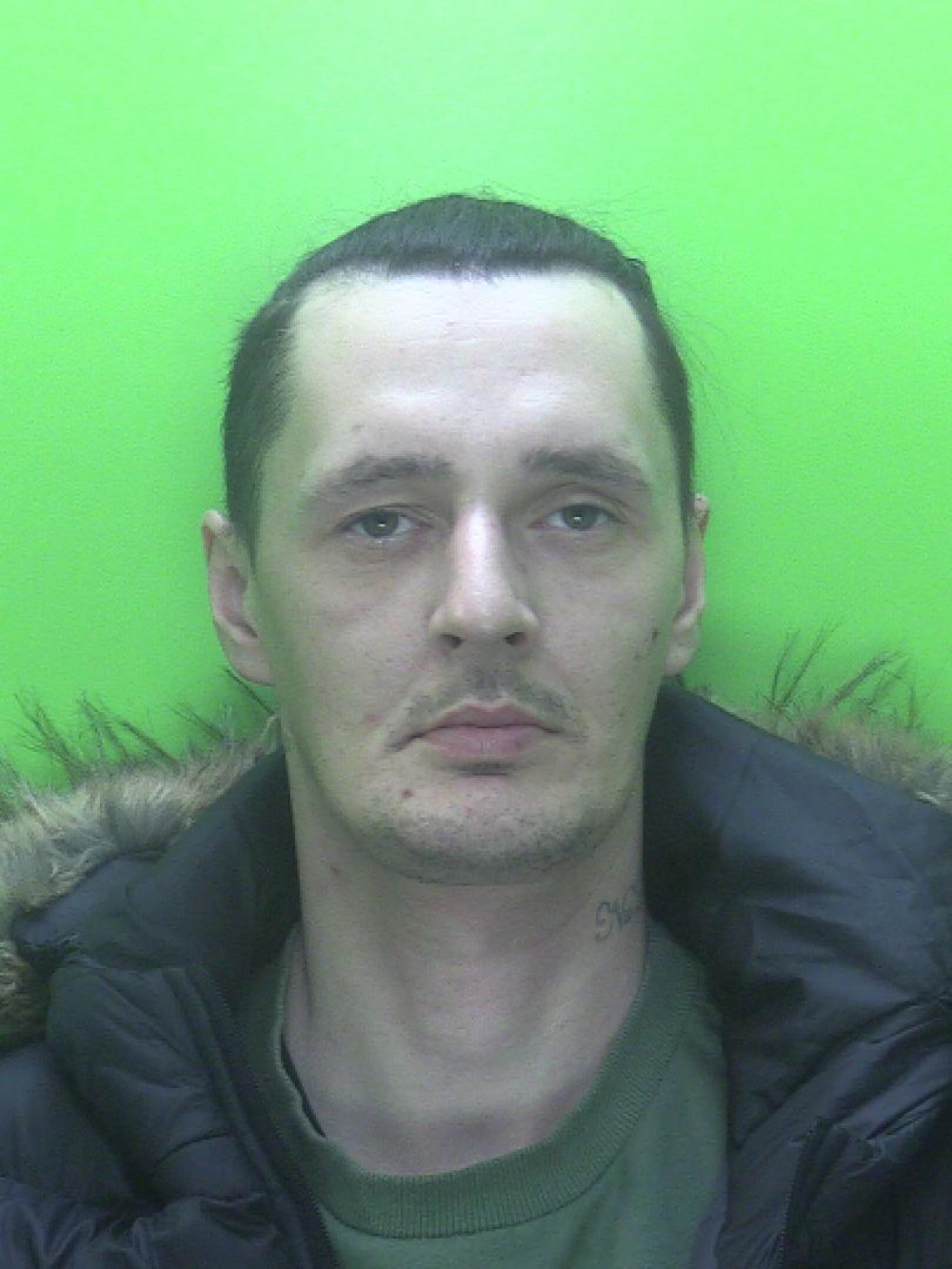 Richard Clarke (pictured) was jailed for 24 weeks and handed a 64 week driving ban after admitting to a charge of causing death by careless driving.