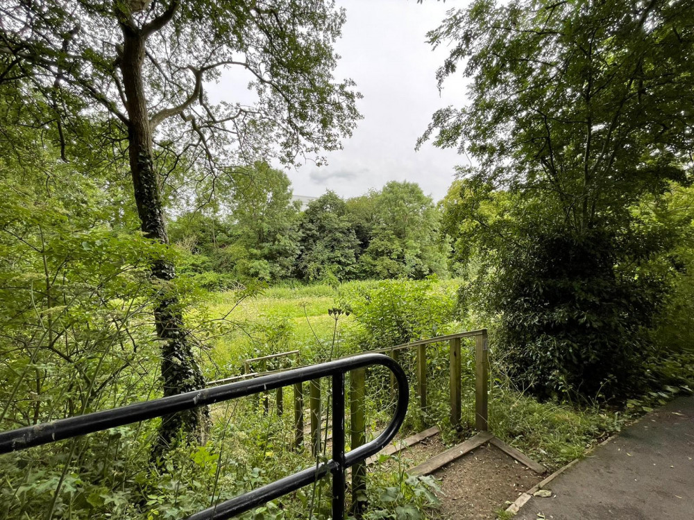 Campaigners against plans for Hucknall’s greenbelt to have 3000 houses built on it have been left perplexed at another local authority’s decision to refuse a planning application on greenfield sites being upheld by the Government on environmental grounds. Pictured: Quarry Lane Nature Reserve, in Mansfield. Image: LDRS.