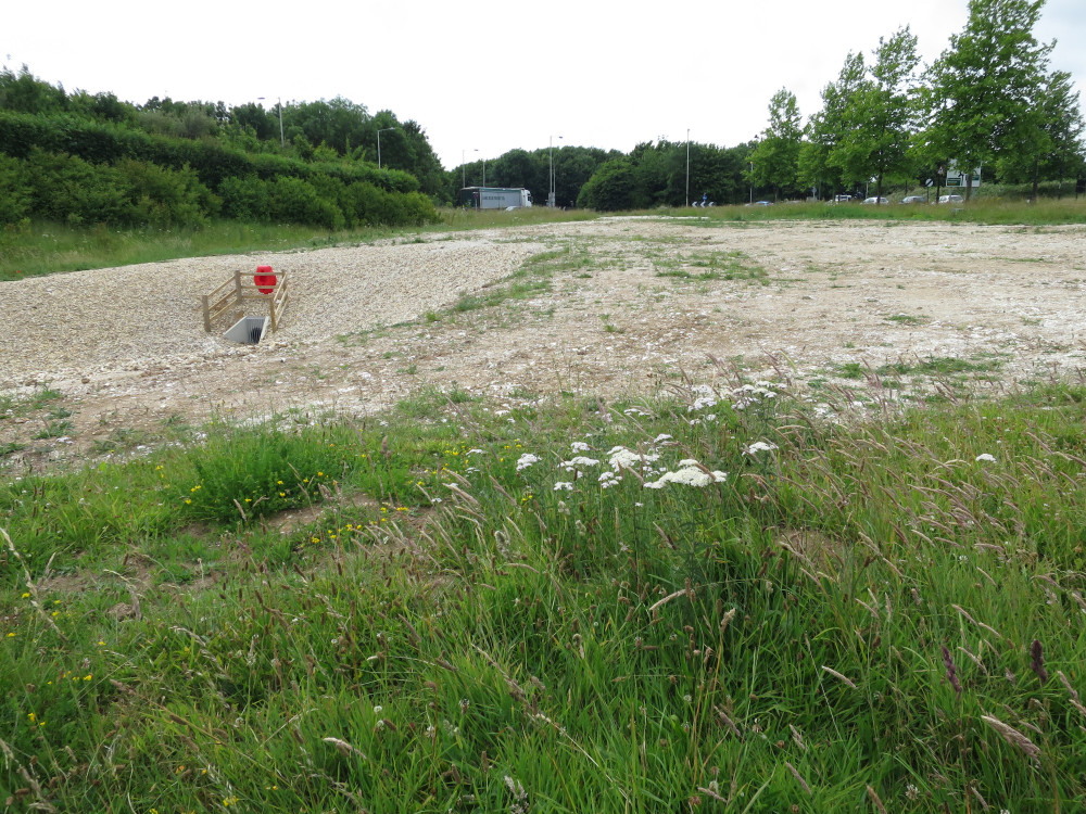 The site near the Monkey’s Jump roundabout set aside for wildflowers