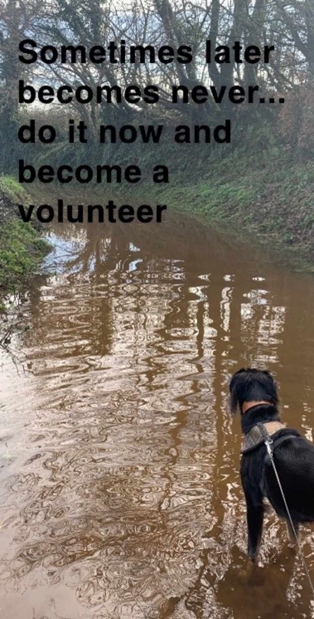 A new appeal for volunteers A new appeal for volunteers