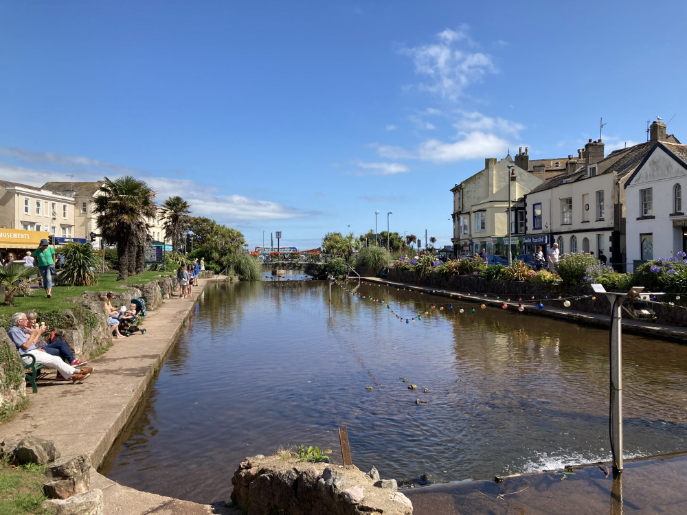 Dawlish Water (Nub News, Will Goddard)