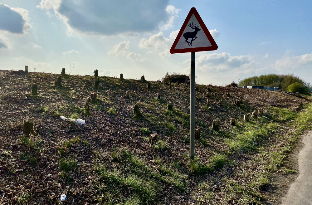 Work has already started on the A511 side of the planned Money Hill estate. Photo: Ashby Nub News