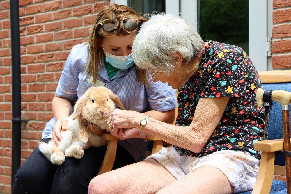 Cheriton Care Home resident Shannon Furze meets Rumple the rabbit