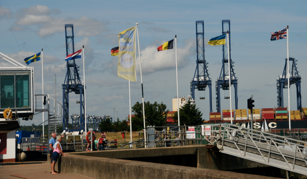 Decent breeze at Shotley marina (Picture credit: Peninsula Nub News)