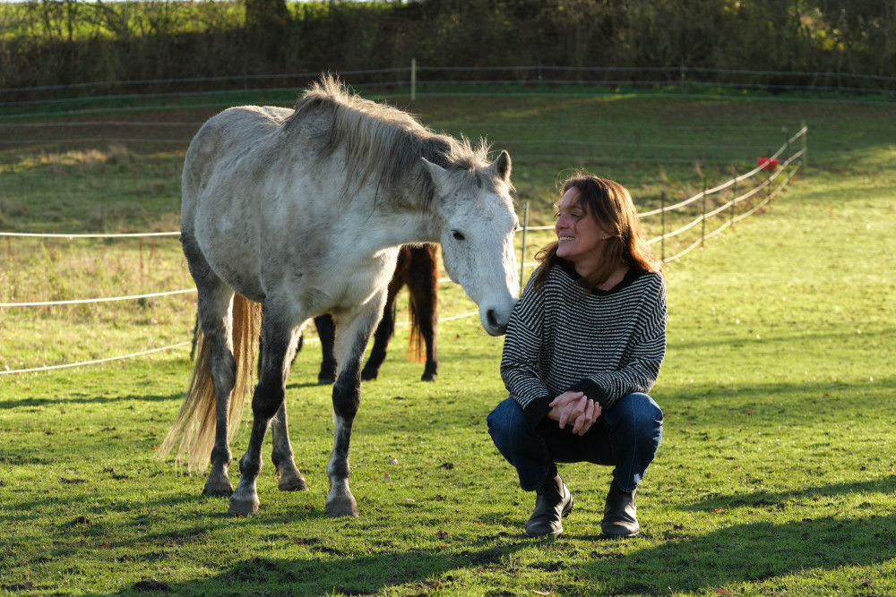 Horses can help us heal