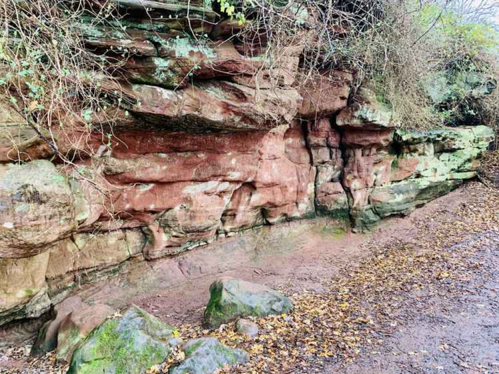 One of Bickerton Hill's many sandstone hollows One of Bickerton Hill's many sandstone hollows