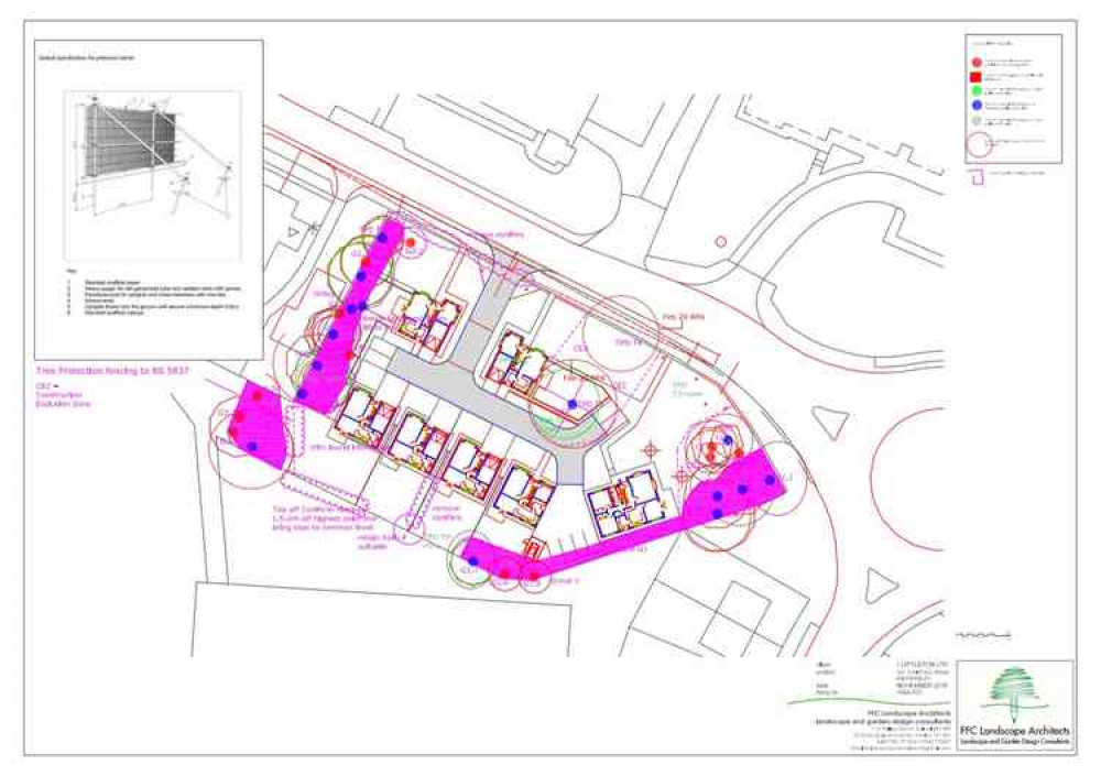 The tree, labelled TPO T5, is located at the centre of the site and marked with a blue dot.