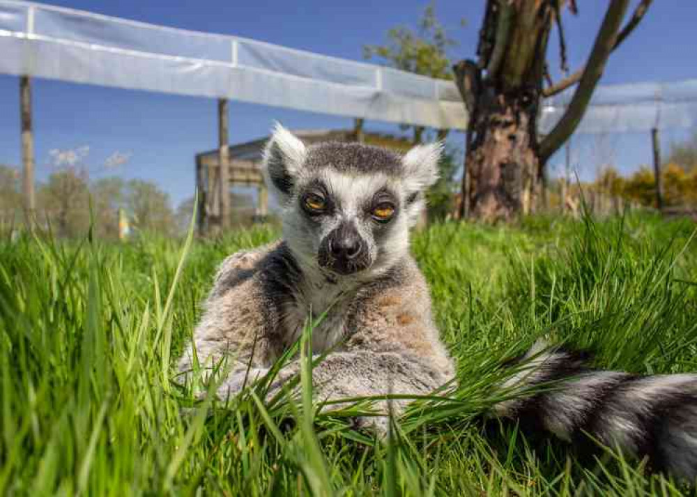 Photo: Peak Wildlife Park