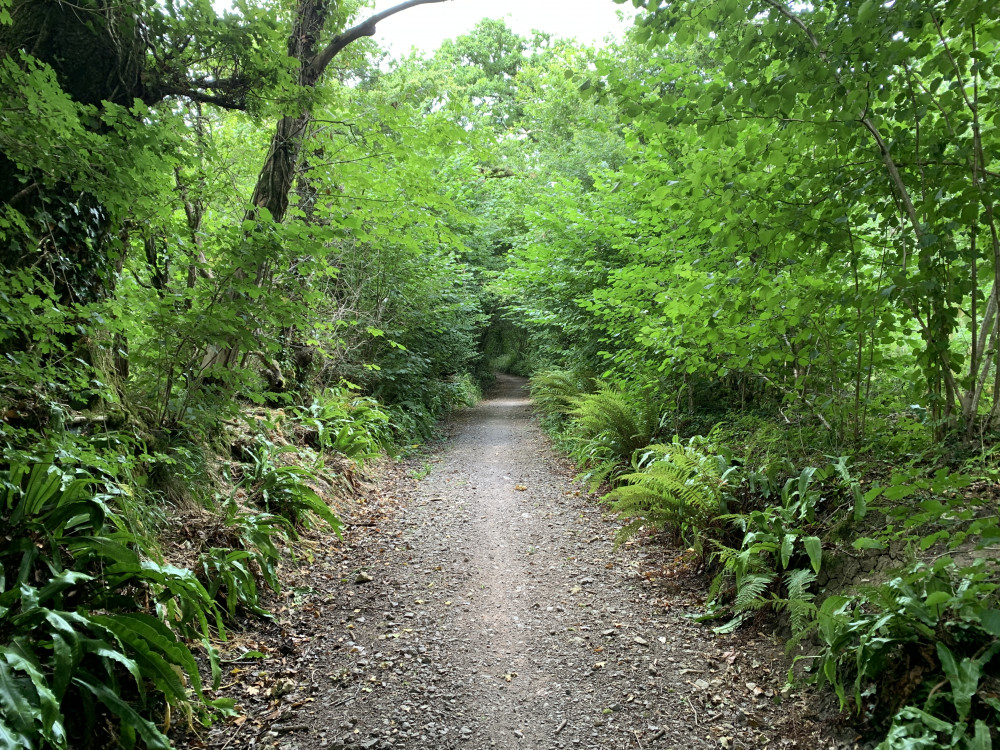 Walk of the week in Corscombe