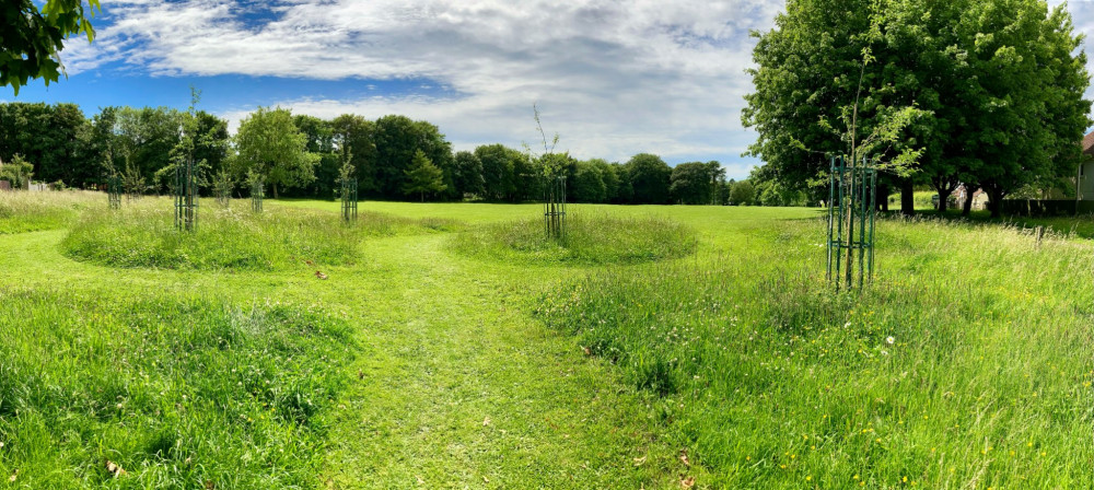 Area of Collett Park have been left unmown