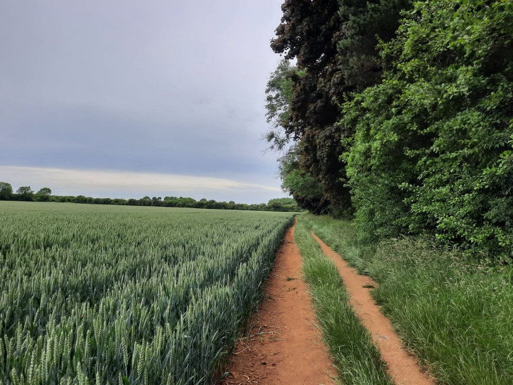 Langham canal, Oakham, experiencing overcast skies.