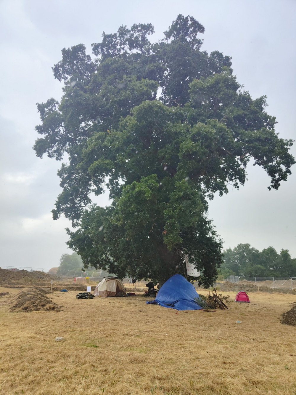 Protesters Around The Queen Camel Oak Tree, Which Could Be Torn Down As Part Of The A303 Dualling Scheme In Somerset. CREDIT: Simon Be. Free to use for all BBC