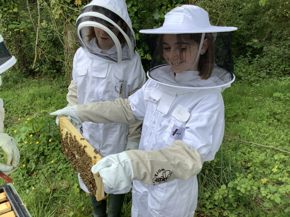 Twelve Symondsbury Primary School pupils have passed their British Beekeeping Association Junior Certificate