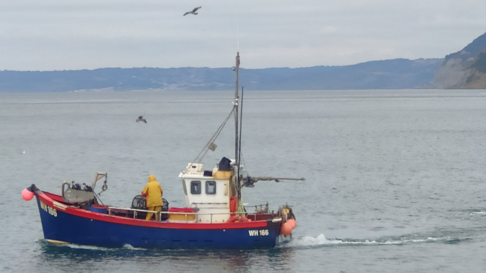 West Bay Guided Walk -  Seafood since the 1960s 