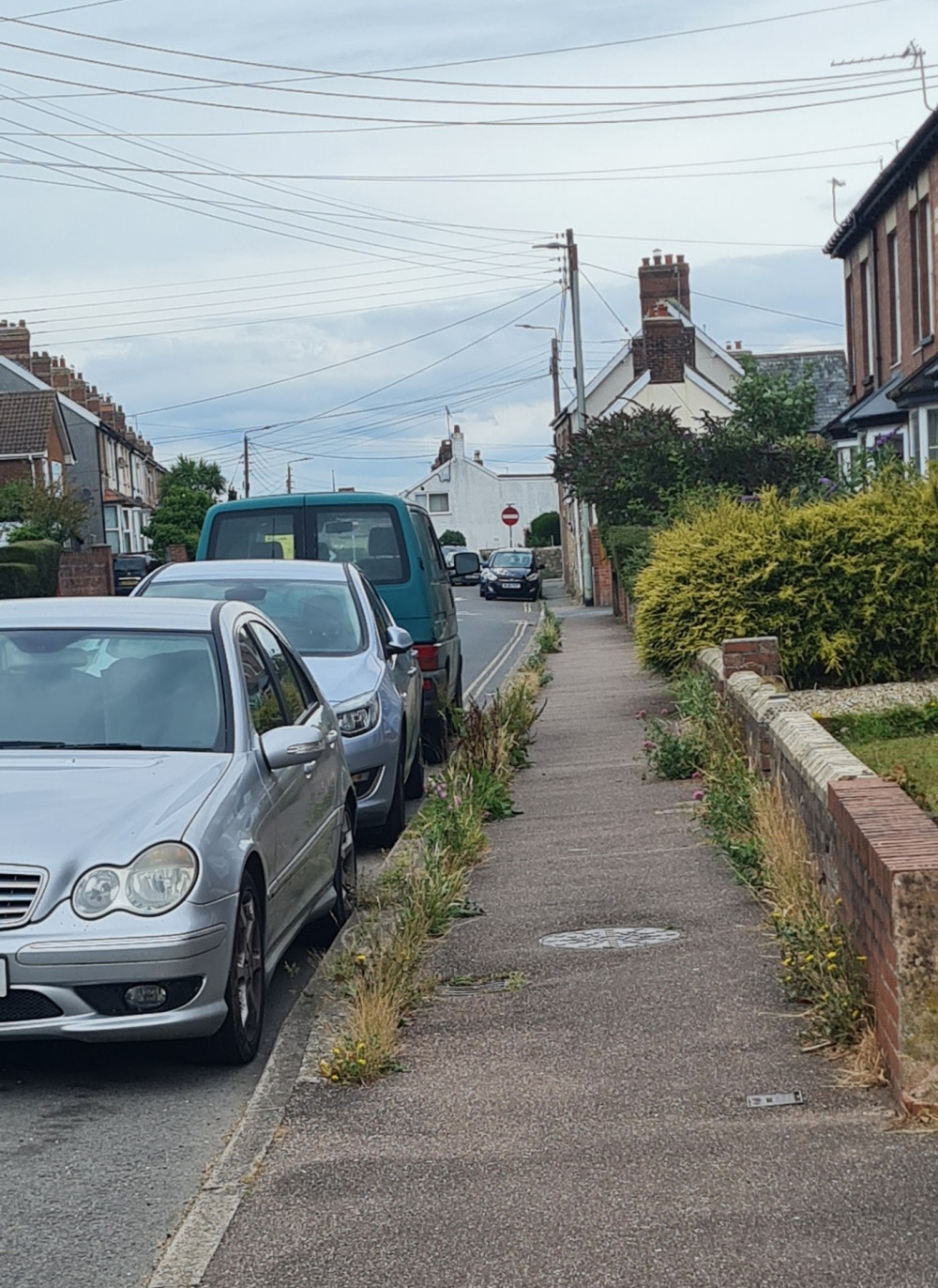 Axminster Town Council recently tackled the weeds on Musbury Road