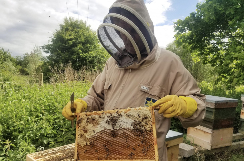 Nigel Collier of Temple Bees tending to one of his 120 bee colonies. Photo: North West Leicestershire District Council