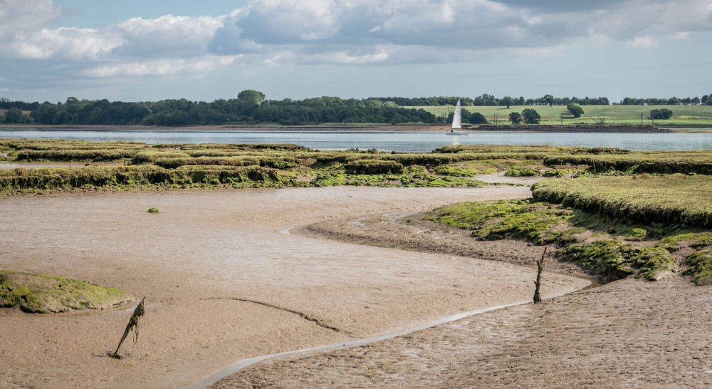 Shotley marshes enjoys an abundance of birdlife (Picture credit: Gill Moon)