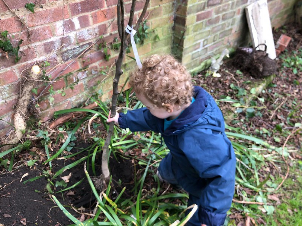 Harriet planting tree for her new brother in March (Picture credit: Babergh)