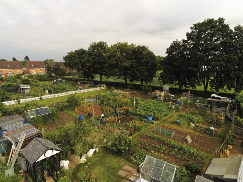 Local allotment users grow fruit, veg and flowers (image courtesy of Oakham Allotments)