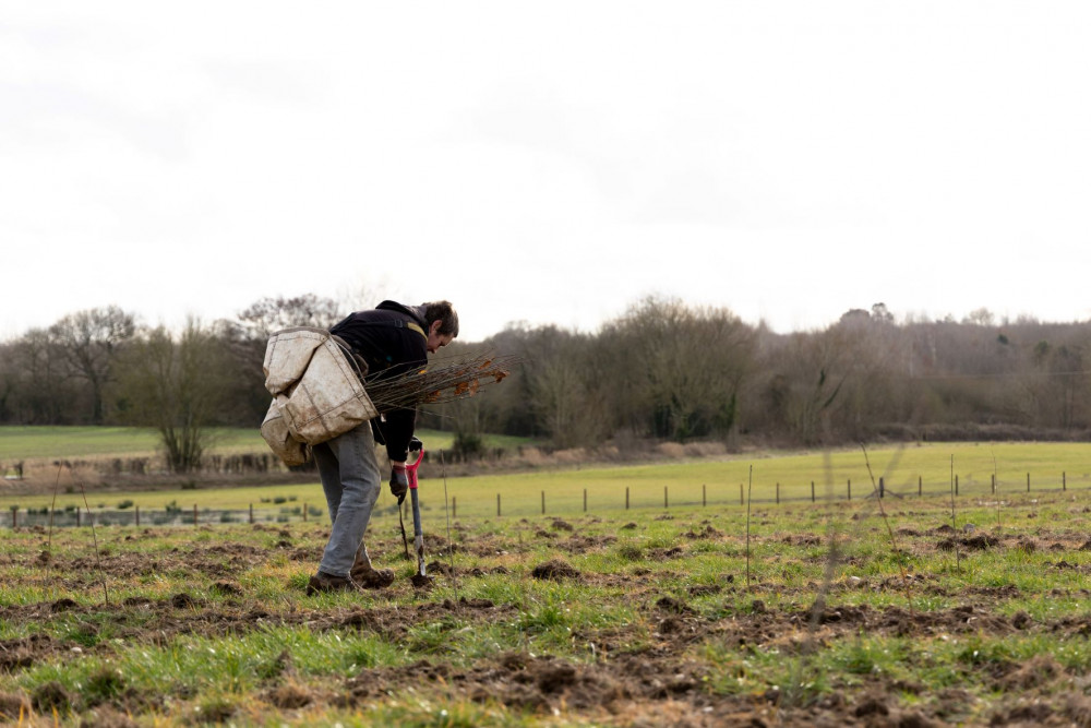 The Minorca Woods site near Measham. Photo: National Forest Company