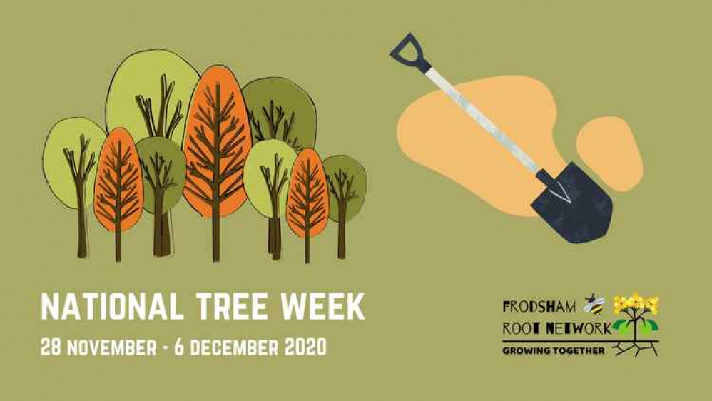 It's National Tree Week! It's National Tree Week!