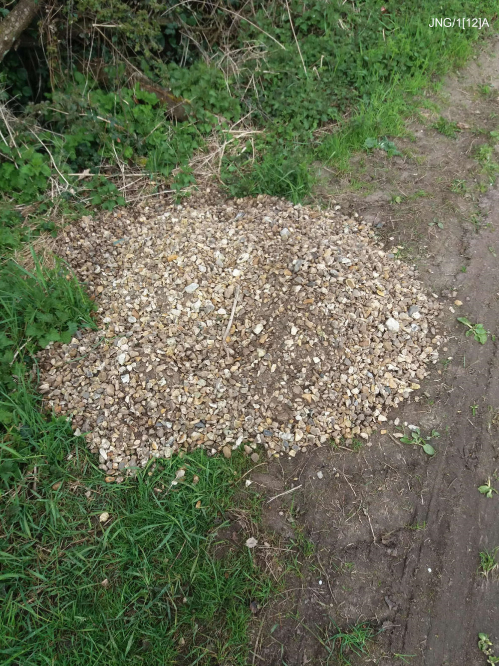 Image of dumped waste taken by Dorset Council Waste Enforcement officers