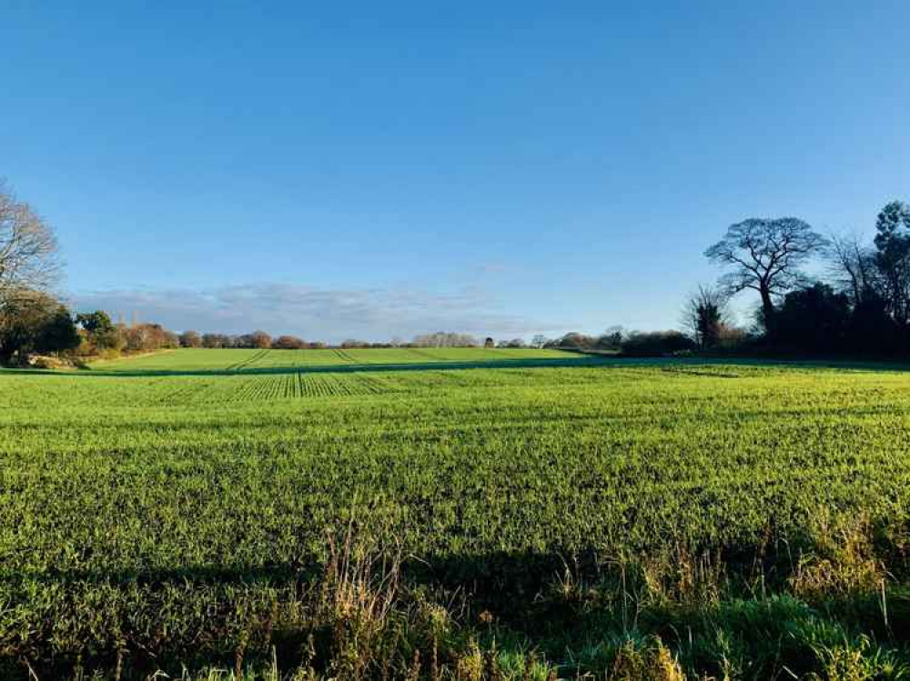 Alvanley fields Alvanley fields