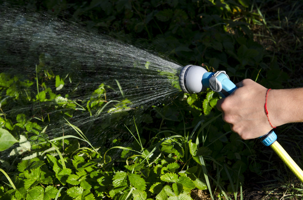 Severn Trent Water says it is 'monitoring the situation' regarding a possible hosepipe ban. Image: © Nataliia Yankovets | Dreamstime.com