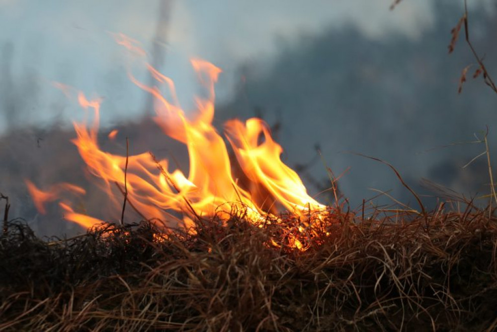 Members of the public are being asked to remain vigilant following a spate of grass fires believed to have been started deliberately. Photo Credit: Neeclick on PixaHive.com. CC0.