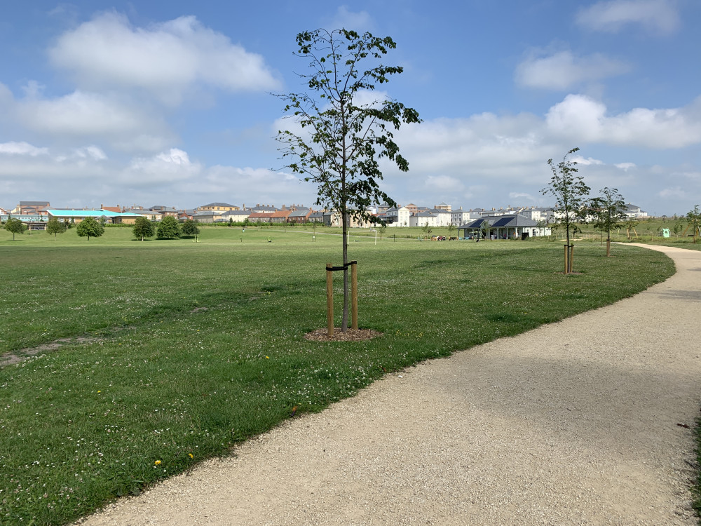 Dorchester breakfast briefing will keep you updated with what's on today, weather, roadworks and more Dorchester breakfast briefing will keep you updated with what's on today, weather, roadworks and more