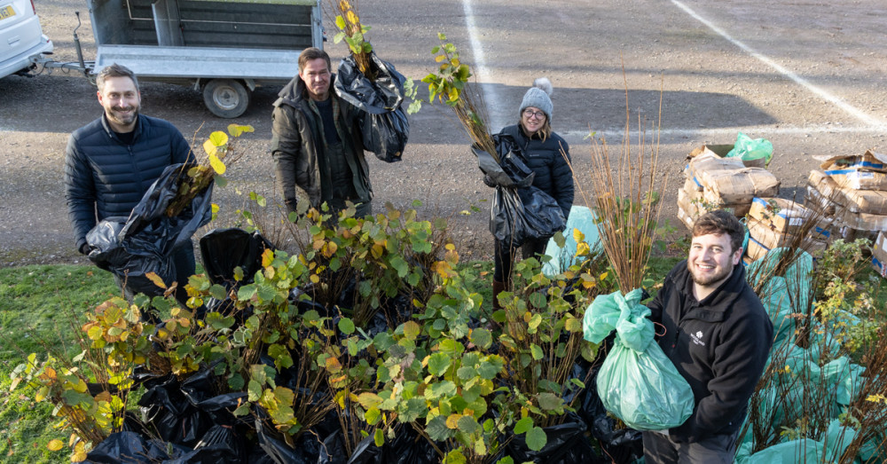 Around 30,000 free trees were given out in 2021. Photo: Leicestershire County Council