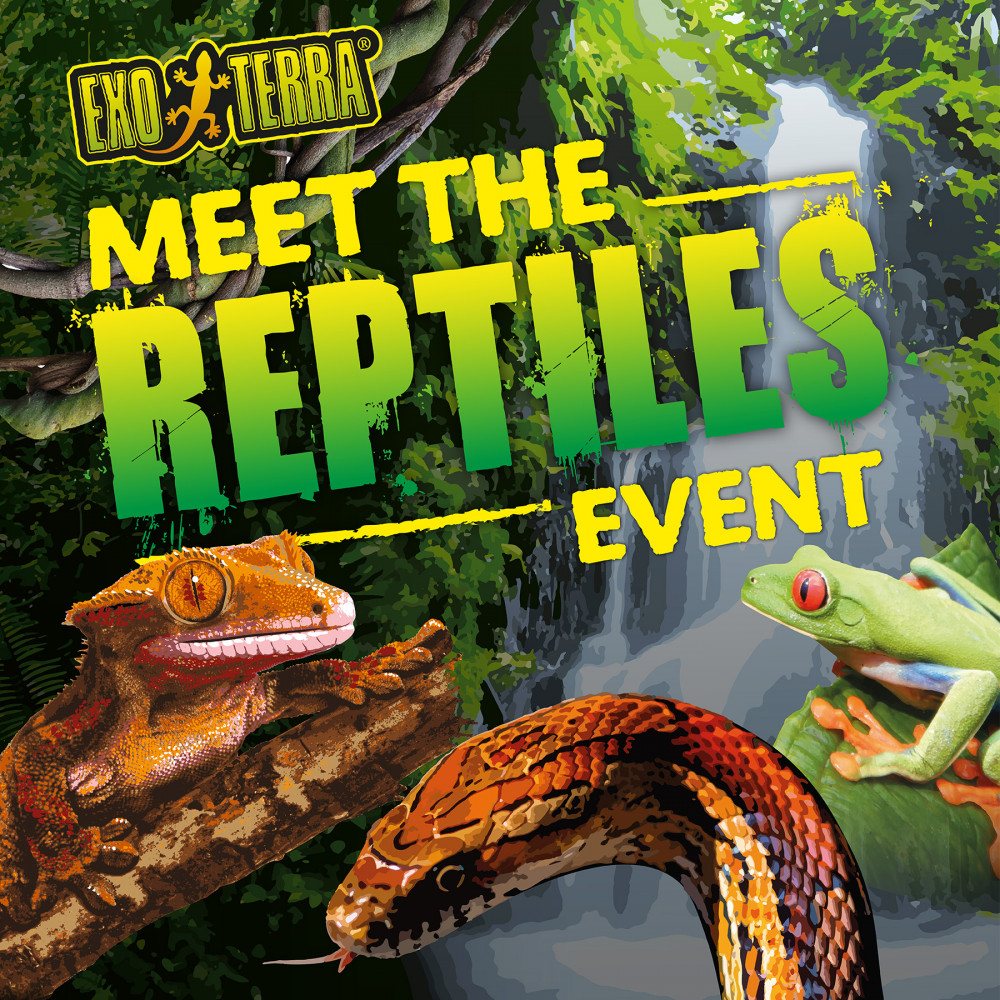 Meet the Reptiles Event at Slitherin in Coalville this Saturday