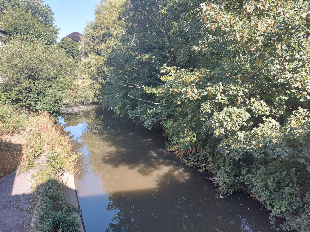 Frome River from the bridge August 11