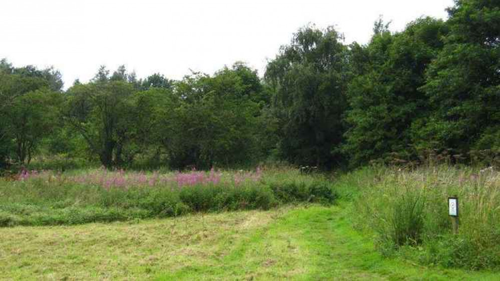 The Newpool Meadows village green is one of Biddulph's local beauty spots. Image credit: Newpool Meadows