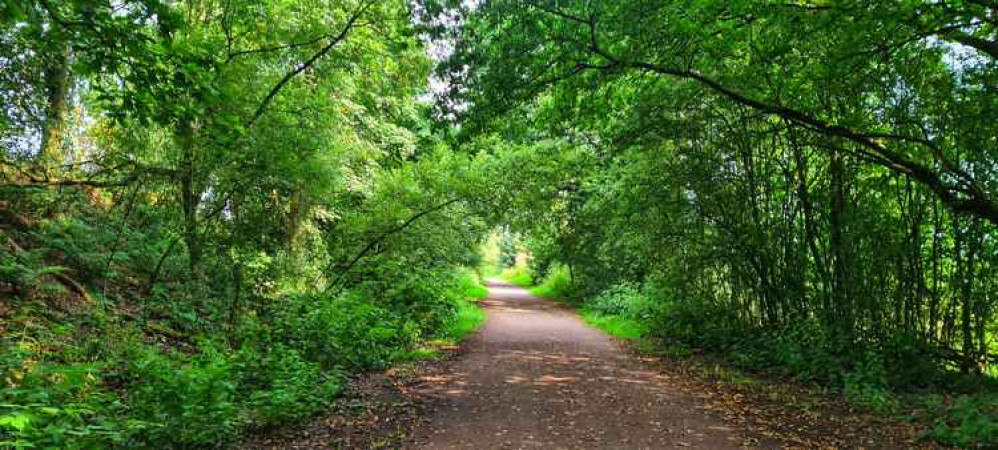 A section of Biddulph Valley Way. Image credit: Kayla Powell