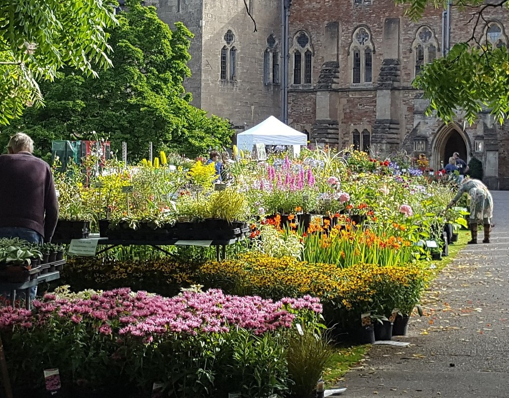 Rare Plant Fair